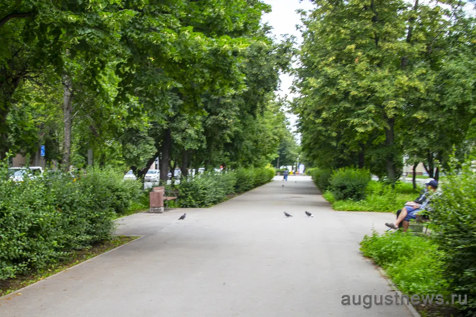 аллея по улице Жилина 