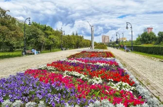 клумба в 32 квартале