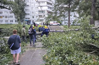 упавшее дерево на улице Механизаторов