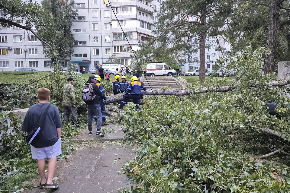 упавшее дерево на улице Механизаторов