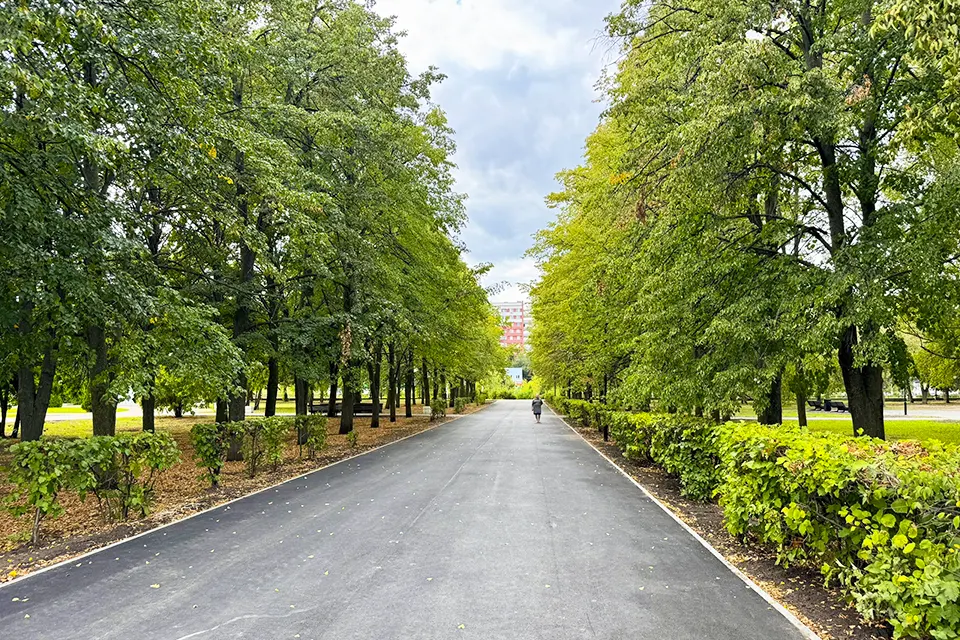 аллея в парке Победы