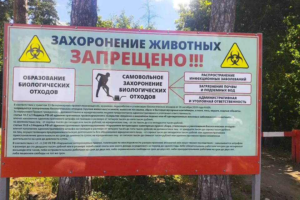 запрет захоронения животных в лесу