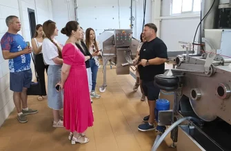 производство напитков из жигулевских яблок