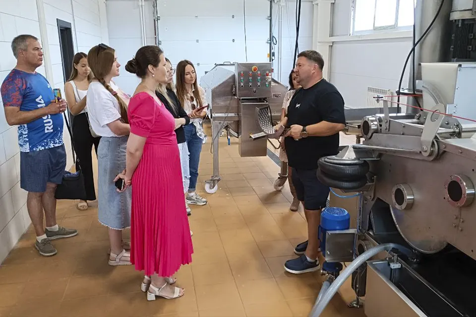 производство напитков из жигулевских яблок