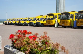 новые школьные автобусы