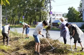 уборка травы