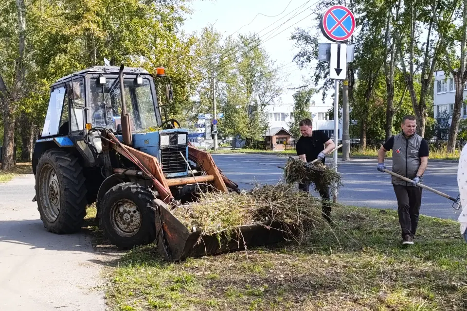 волонтеры убирают траву