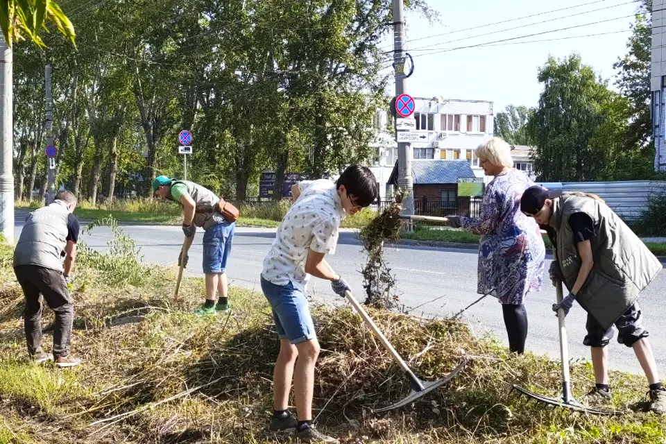 уборка травы