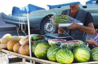 торговля арбузам и дынями на улице