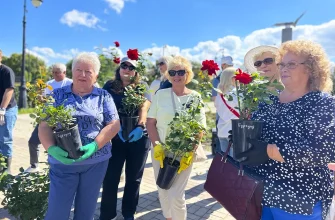 акция по посадке роз