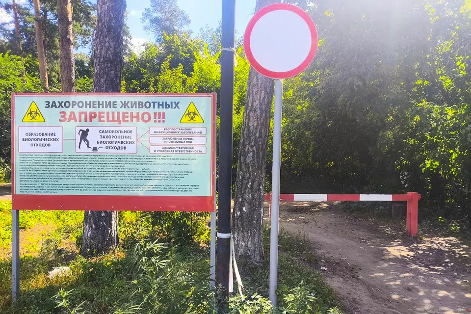запрет захоронения домашних животных в лесу