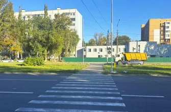 светофор на пешеходном переходе