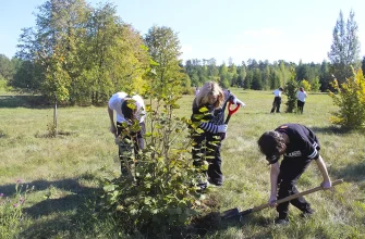 участники акции окапывают лунки