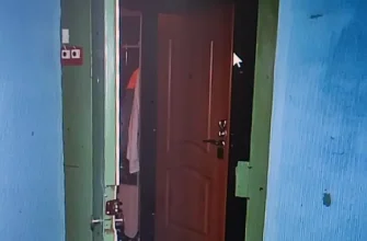 входная дверь