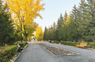 аллея в парке Центрального района осенью