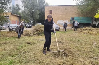 уборка травы на Льва Толстого 25