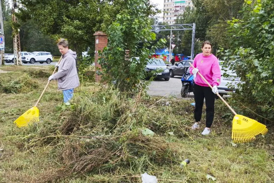 уборка травы