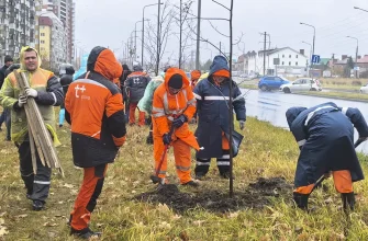 посадка лип на улице 40 лет Победы