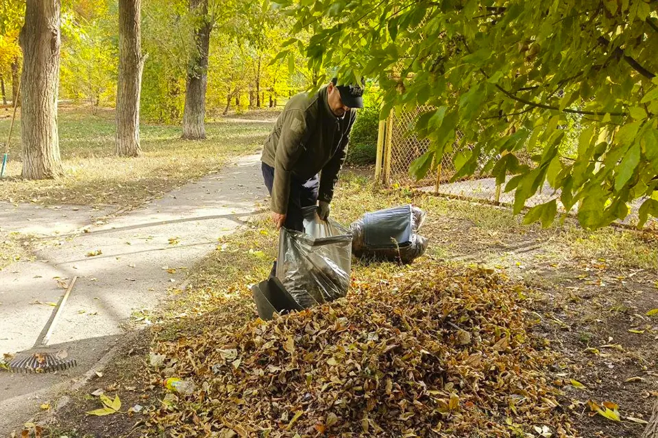 уборка опавшей листвы на улице Фрунзе
