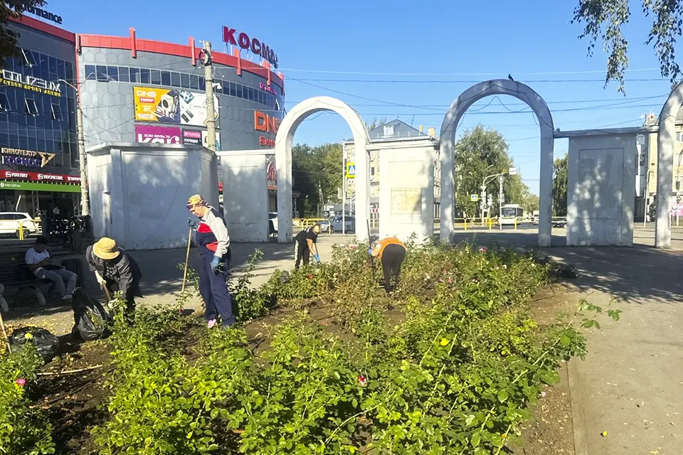 сотрудники Зеленстроя работают в парке Центрального района