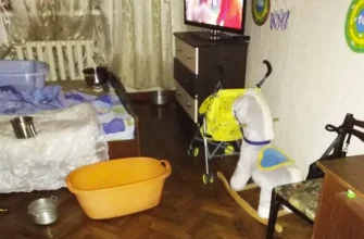 затопило квартиру