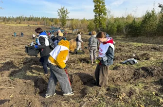 горожане сажают лес в 17 квартале