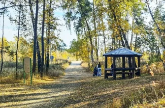 беседка в лесу