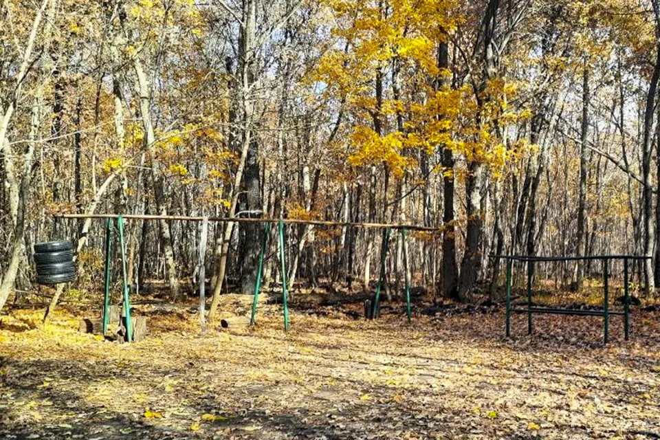 лес турник спорт спортивные турники в лесу