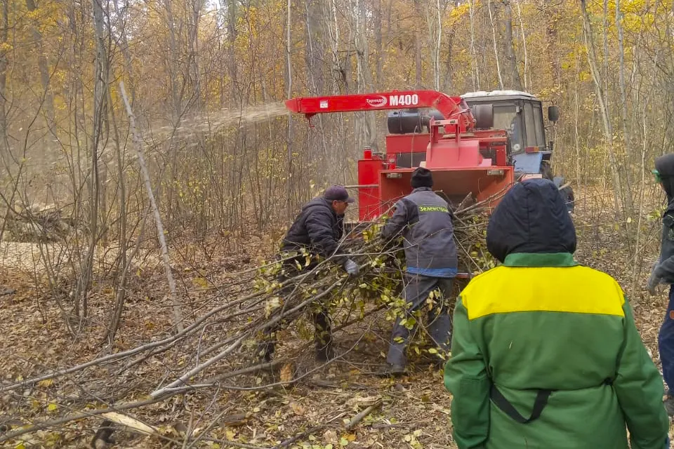 переработка валежника в лесу