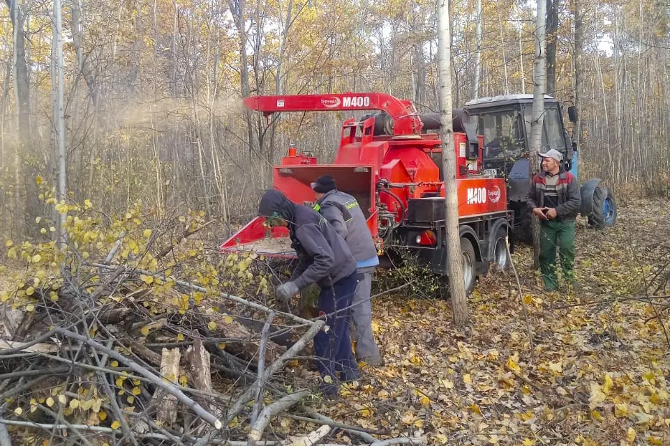 сотрудники Зеленстроя собирают валежник