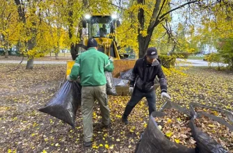 уборка листвы на бульваре Буденного