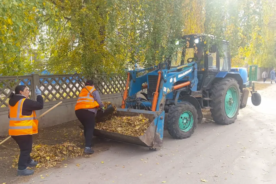 уборка листвы на улице Жилина