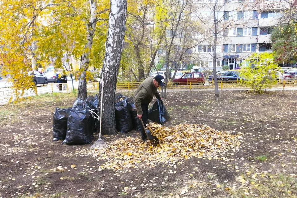 уборка листвы на улице Жукова