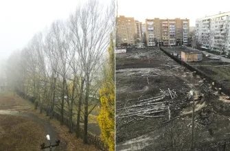 вырублены тополя на территории школы