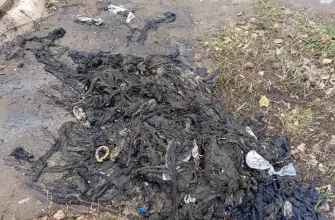 мусор из канализации