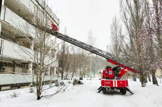 Дед Мороз на пожарной машине