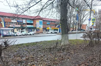 ветки и листья на обочине дороги