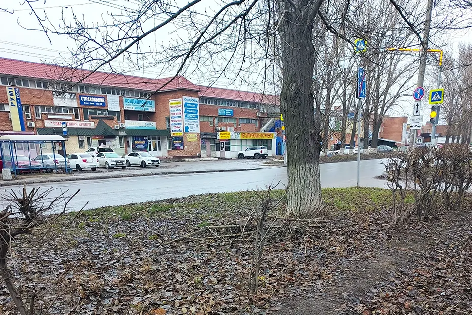 ветки и листья на обочине дороги