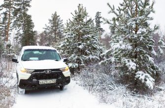 патрулирование леса перед Новым годом