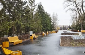 скамейки на аллее в парке Центрального района