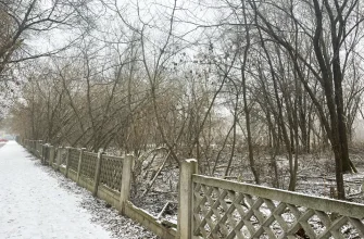 заброшенный стадион на улице Ленина