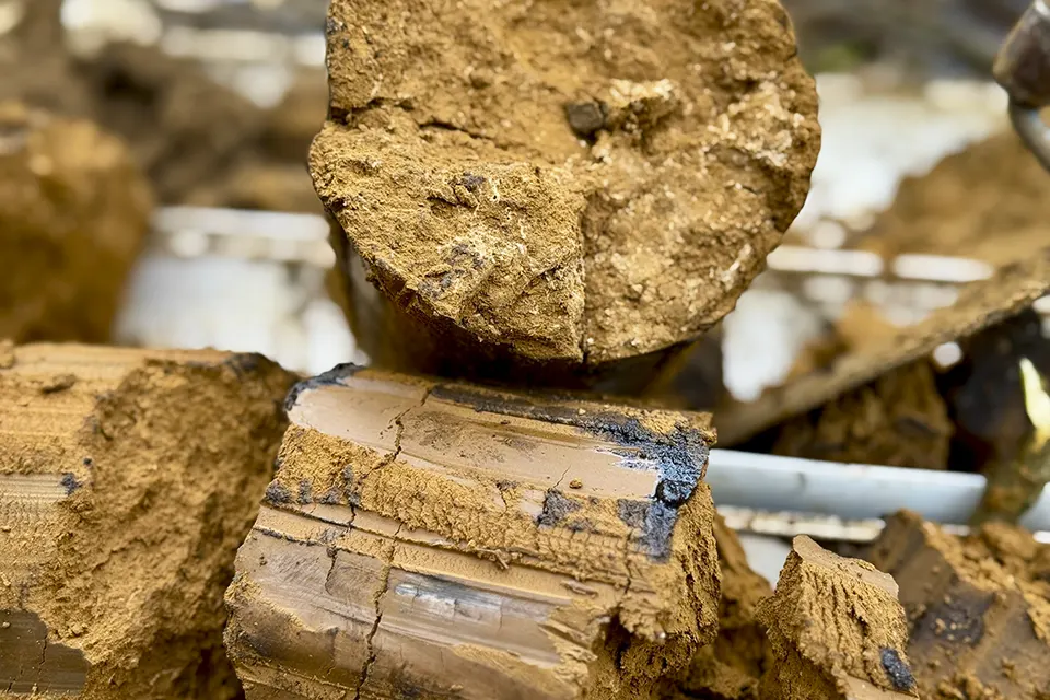 завод фосфор грунт исследование пробы грунта