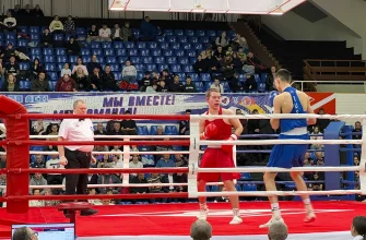 турнир по боксу