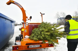 переработка дерева сосны