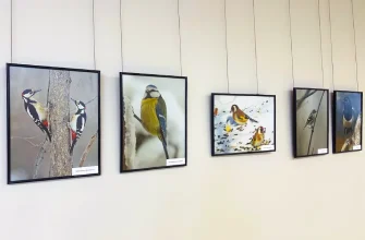 фотовыставка в ТКМ