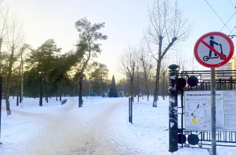 парк Комсомольского района