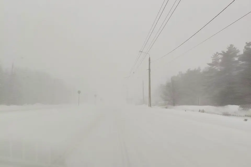 метель на трассе
