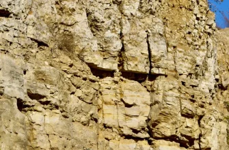 полезные ископаемые