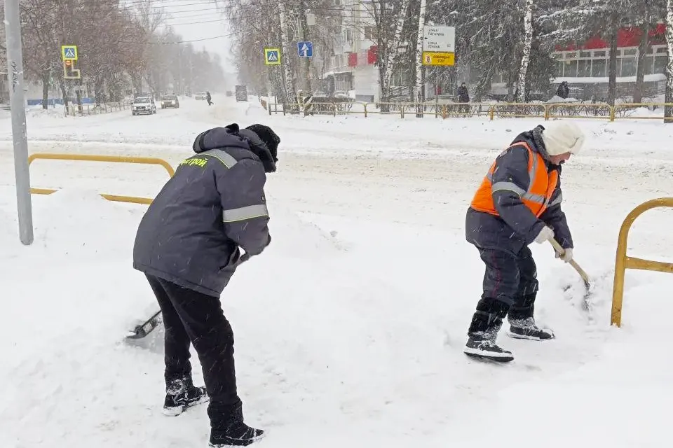 сотрудники Зеленстроя расчищают снег у пешеходного перехода