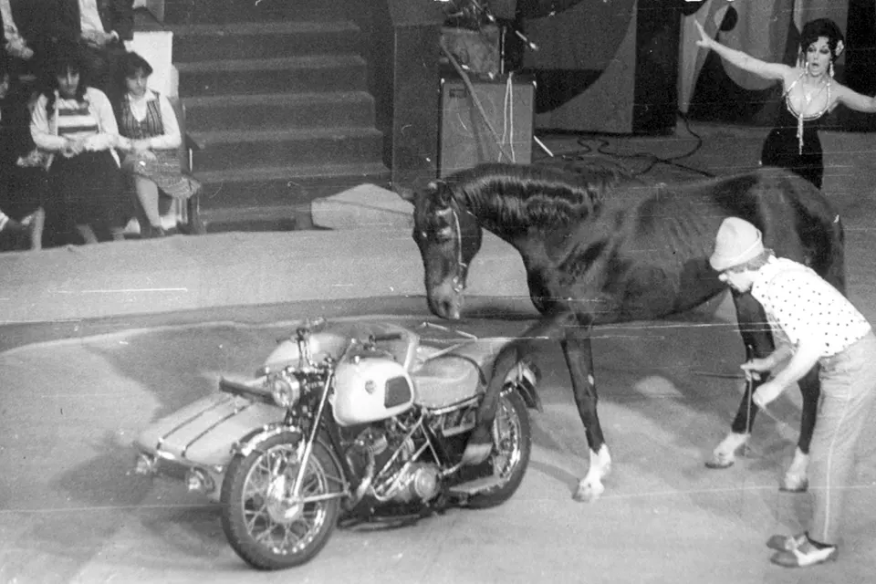 цирковой номер